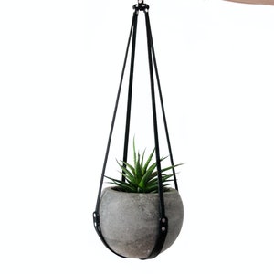 Puede incluir: Un macetero colgante de cuero negro con una maceta de hormigón gris y una pequeña planta suculenta verde.