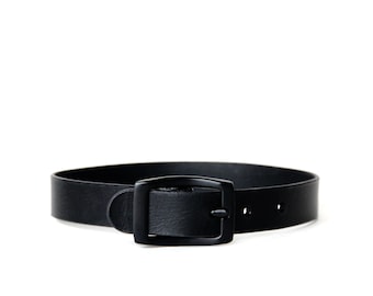 May include: A black leather belt with a black metal buckle.