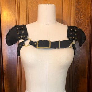 FLAWED Rambler Harness -- Black & Brass Leather Chest Harness