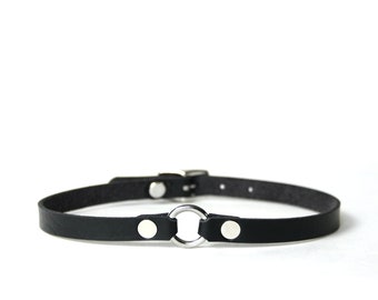 May include: A black leather choker with a silver ring and two silver studs.