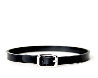 May include: A black leather collar with a silver buckle.
