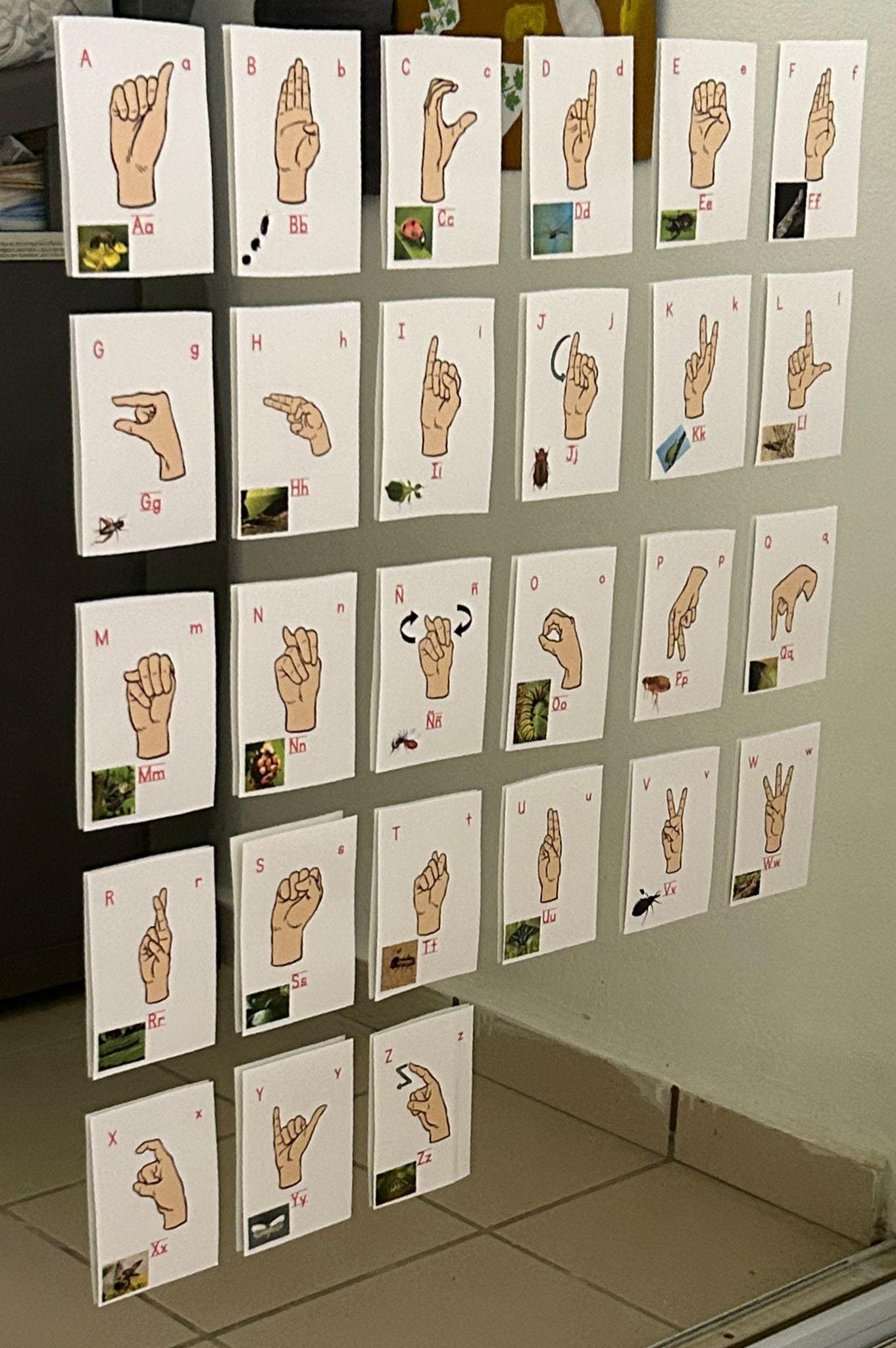 Sign Language Alphabet + Insects | Educational Flashcards in Spanish ...