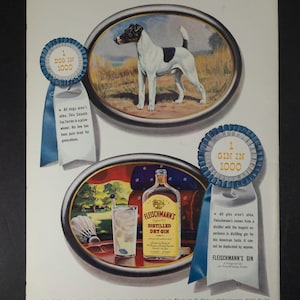 May include: A vintage advertisement featuring two oval frames. The top frame shows a Fox Terrier in a field. The bottom frame displays a bottle of Fleischmann's Distilled Dry Gin next to a glass with ice and a badminton shuttlecock. Two blue and white award ribbons are attached, each with text reading 1 DOG IN 1000 and 1 GIN IN 1000 respectively.