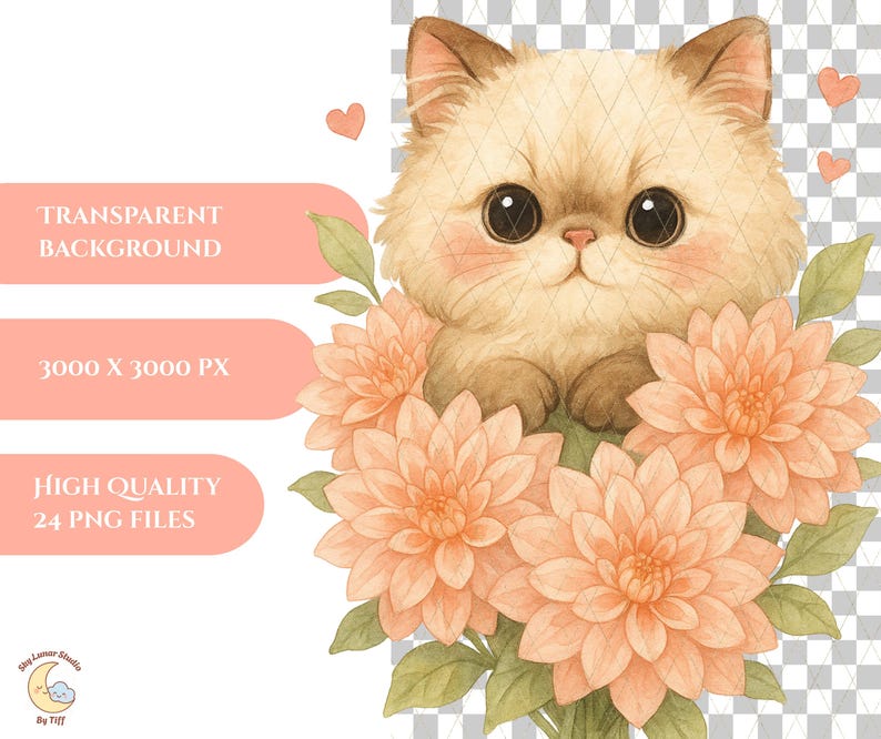 Watercolor Cat Clipart | Floral Kitten PNG Set (digital Download) - Etsy