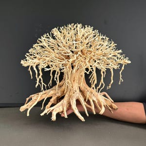 Driftwood bonsai aquarium tree aquascape drift wood fish tank decorations great gift for him