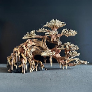 Driftwood bonsai tree lava rock aquarium aquascape driftwood branch bon sai tree plant aquascaping rock fish tank decoration