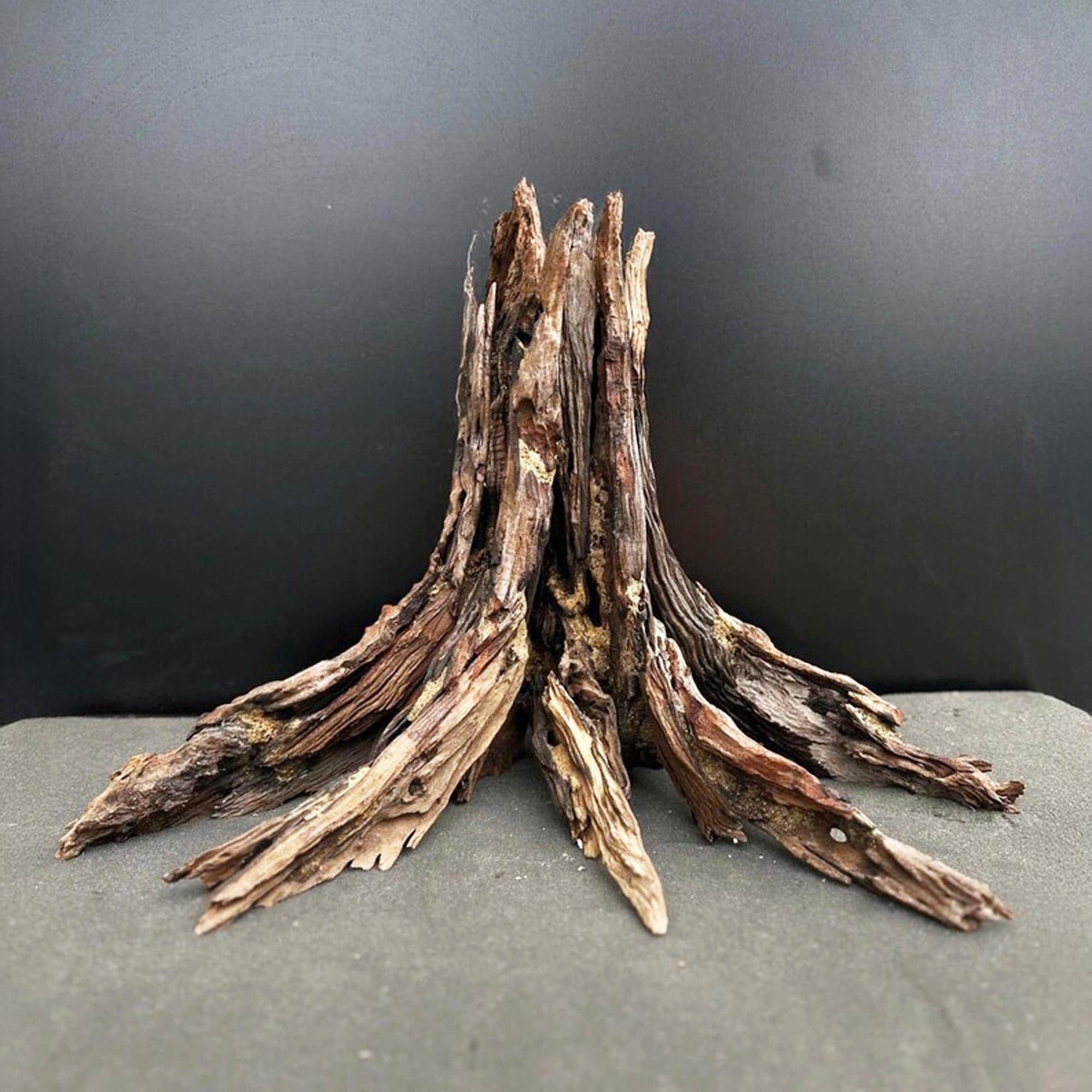 Aquarium driftwood stump aquascape hardscape wood aquascaping fish tank decoration
