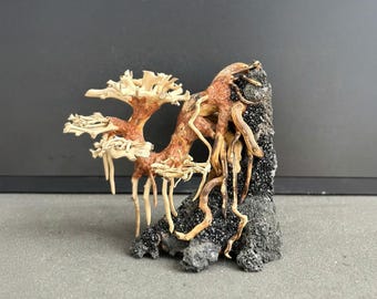 Aquarium rocks driftwood aquascaping plants aquascape bonsai tree drift wood for fish tank decoration