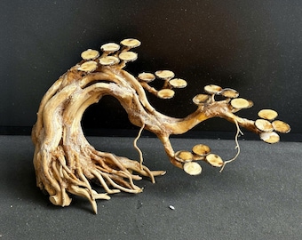 水槽用流木、特大アクアスケープ岩、盆栽、枯れ木、水槽植物 - Etsy 日本