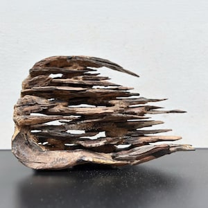 May include: A weathered, abstract wooden sculpture with a layered, textured design. The sculpture features various shades of brown and tan, with a rough, natural appearance. The piece has a dynamic, flowing shape, suggesting movement and organic forms.