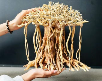 流木を使った水槽盆栽風の洞窟と岩を使った水槽装飾 - Etsy 日本