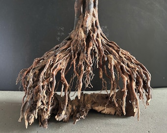 盆栽彫刻 水槽用流木 水景装飾 水槽用本物の流木 - Etsy 日本