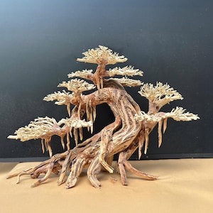 Aquarium bonsai driftwood aquascape tree drift wood aquascaping wood decor real fish tank decorations