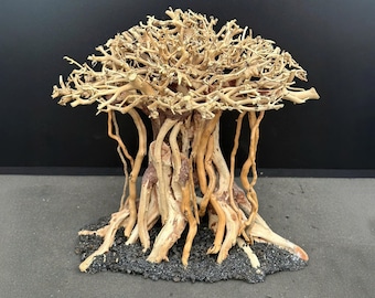 Bonsai drzewo akwariowe drzewo dryftowe aquascape drewno dryftowe dekoracje do akwarium wspaniały prezent dla niego