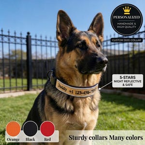 May include: A German Shepherd dog wearing a personalised dog collar. The collar is beige with the name "Buddy" and a phone number. The image also shows colour options: orange, black, and red. The collar is described as sturdy, night reflective, and safe.