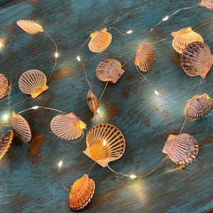 May include: A string of fairy lights with seashells as the light covers. The lights are strung on a copper wire and the shells are a variety of natural colours and shapes. The lights are strung on a teal blue surface.