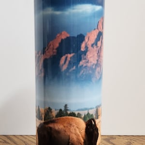 Bison in Wyoming 20 oz Sublimationsbecher RTS Ready to Ship Teton Buffalo Fuzzy Cows
