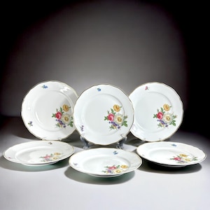Vintage Floral Porcelain Plates - Z & G Tirschenreuth Bavaria - Set of 6