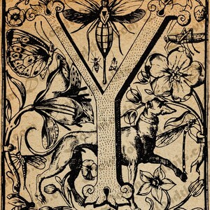 Download instantâneo: Alfabeto Ornamental Vintage - Y maiúsculo em papel antigo