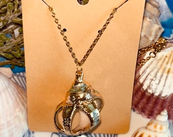 Gilded Teal Shell Necklace