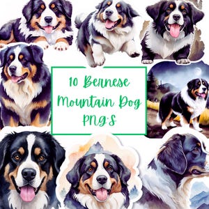 10 Bernese Mountain Dog Clipart – Watercolor PNGs | Dog Breed Art, Pet Portraits, Transparent Digital Download