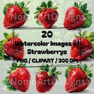 20 Strawberry PNG Clipart Bundle, Digital Fruit Graphics, Watercolour Berries, Transparent Background, Commercial Use, Digital Download, PNG