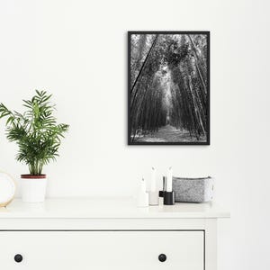 The Path of Kaguya – Zen Bamboo Forest Printable Art