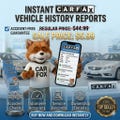 Instant Full Report - VIN Vehicle Report