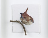 Wren hand stitched bird 3D artwork in white frame