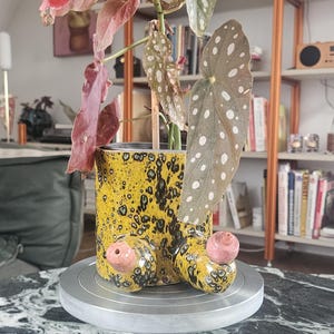 Könnte beinhalten: Eine Topfpflanze mit großen, gefleckten Blättern und rosa und grünem Laub. Der gelbe Keramiktopf hat ein schwarzes, gesprenkeltes Muster und ist mit zwei schweinartigen Ornamenten verziert. Die Pflanze steht auf einem Metallständer.