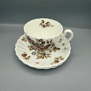 May include: A white teacup and saucer set. The teacup and saucer have a floral design in brown, pink, blue, and green. The teacup has a scalloped rim and a curved handle. The saucer is also scalloped.