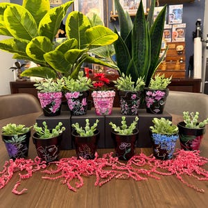May include: A collection of small, black painted flower pots with various floral and face designs. The pots are filled with small green plants and arranged on a wooden table with pink paper filler.