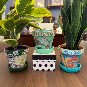 May include: Three potted plants with decorative pots. The pots feature the text "We Got Your Back", "New Jersey Road", and "Jersey Shore". The pots are placed on saucers and a black and white polka dot box.