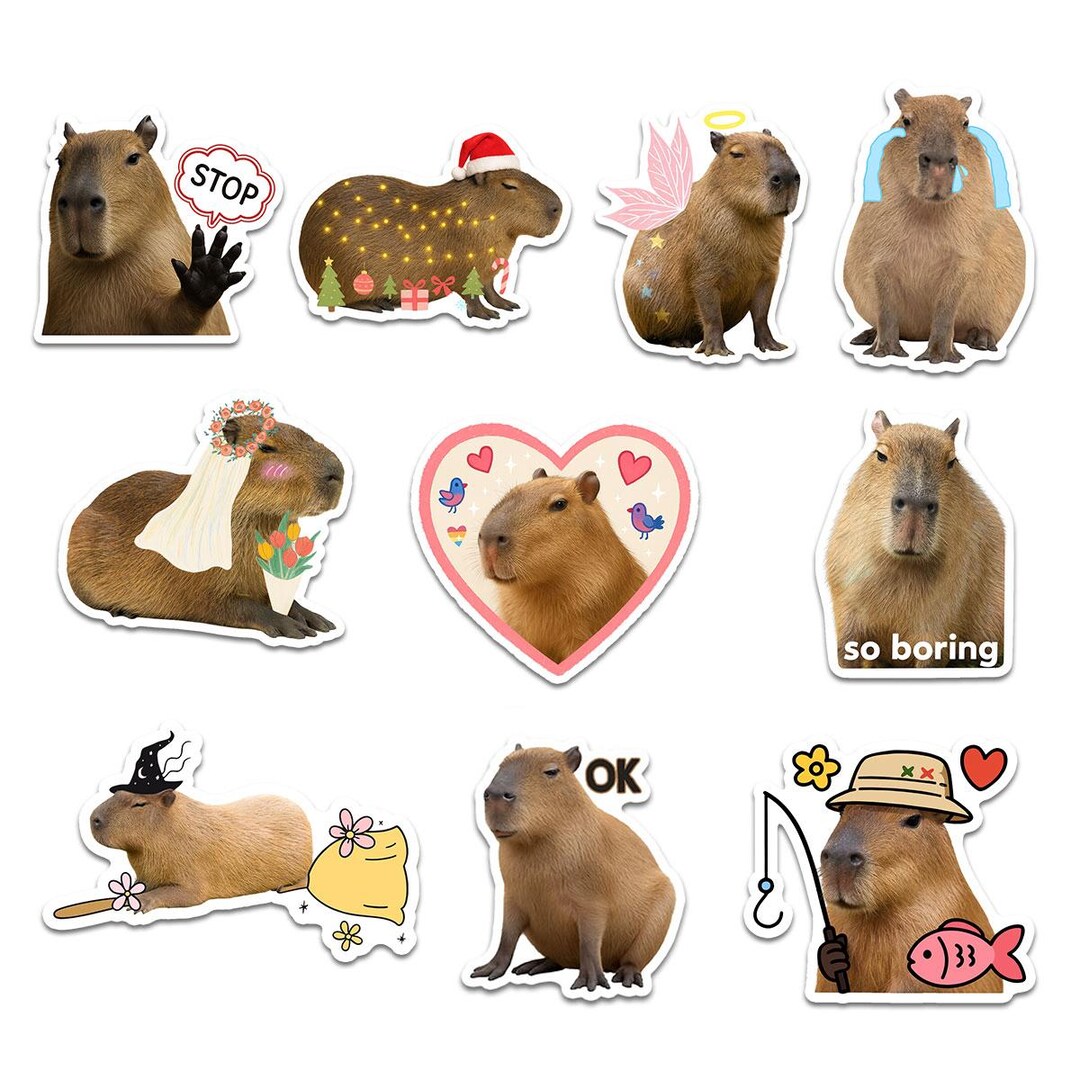 Capybara Stickers, Waterproof Vinyl Decals, Laptop, Journal (10pcs) - Etsy