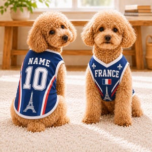 Two adorable poodle dogs wearing blue jerseys with the text "France" and the Eiffel Tower logo, sitting on a carpeted floor.