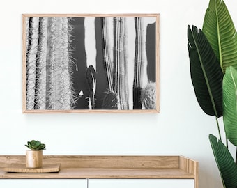 Black & White Desert Cactus Photo Wall Art, digitale download, afdrukbare kunst