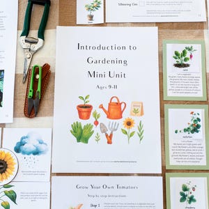 May include: An educational gardening mini-unit for ages 9-11, featuring illustrations of gardening tools, plants, and a sunflower. Includes a pair of green handled shears and a smaller pair of green handled scissors in a brown leather sheath.