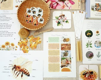 Puede incluir: Una colección de materiales educativos sobre abejas, que incluyen un poema, diagramas y un rompecabezas. Una cesta de mimbre contiene recortes de abejas y panales. Otros artículos incluyen un cucharón de miel de madera y velas.
