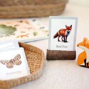 May include: A collection of educational cards and wooden toys featuring woodland animals. The cards display illustrations of a red fox and a butterfly. A wooden fox figurine is also present, along with a woven basket and a book.