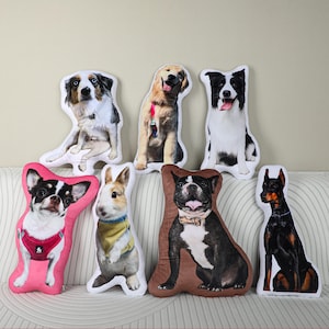 Custom pet shape pillow, 3D photo pillow, cat pillow, dog pillow, pet lover gift, pet portrait pillow, pet memorial, pet gift,Gift for her