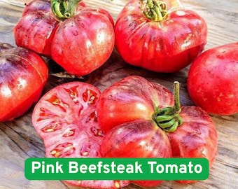 Heirloom Pink Beefsteak Tomato Seeds, Giant Sweet Variety (100 Seeds)