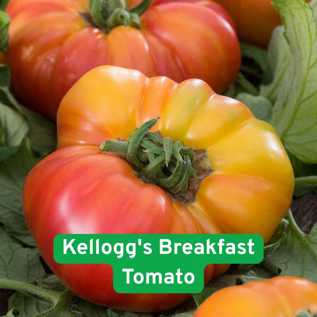 Kellogg Breakfast Tomato