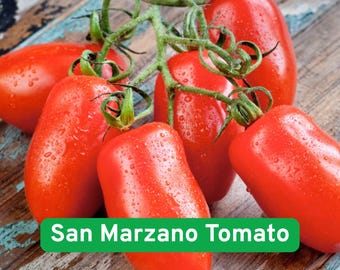 San Marzano Tomato Seeds, Heirloom Italian Variety