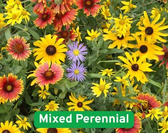 Seasonal Enchantment Garden, 200 Mixed Perennial Flower Seeds Collection