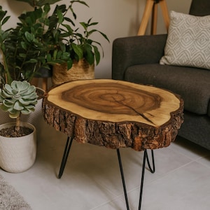 May include: A round, natural wood side table with a live edge. The tabletop is a light brown color with darker brown concentric rings. It has three black metal hairpin legs. The table is approximately 30 inches in diameter.
