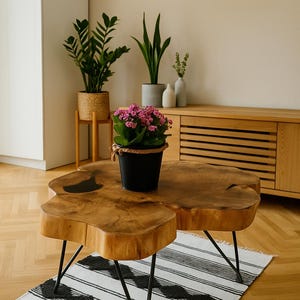 May include: A unique wooden coffee table with a natural edge design, supported by black metal legs. A black and white striped rug sits beneath the table. A black bucket with pink flowers sits on top of the table. Plants and a wooden cabinet are in the background.