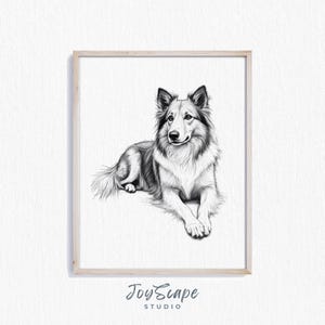 Collie Dog Printable Art - Vintage Canine Sketch, Rustic Dog Wall Decor, Farmhouse Animal Portrait, Digital Pet Print, Collie Poster