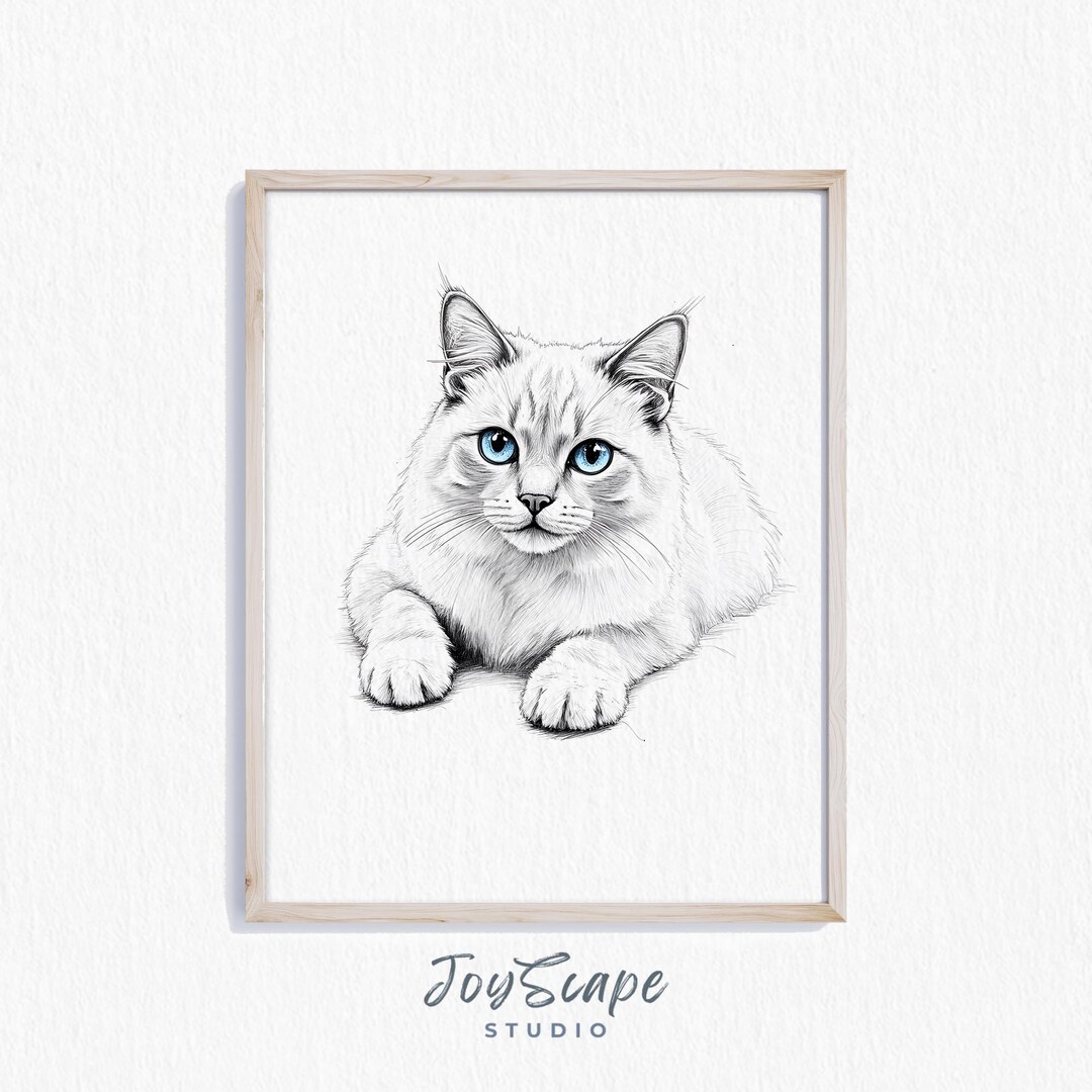 猫　鉛筆画　イラスト　似顔絵　ペット　猫　ラグドール　手描き ラグドール猫のスケッチ（印刷可能） - 魅力的な猫のアート