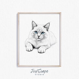 Dibujo imprimible de gato Ragdoll: arte felino encantador, ilustración felina relajada, decoración rústica para habitación infantil, arte digital de pared con animales.