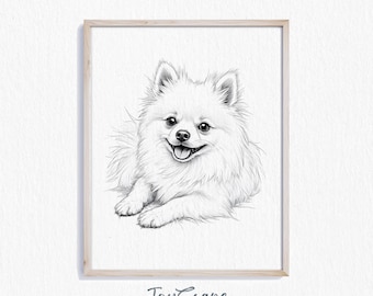 デジタル ダウンロード - ポメラニアンの鉛筆画 - トイ ドッグ種